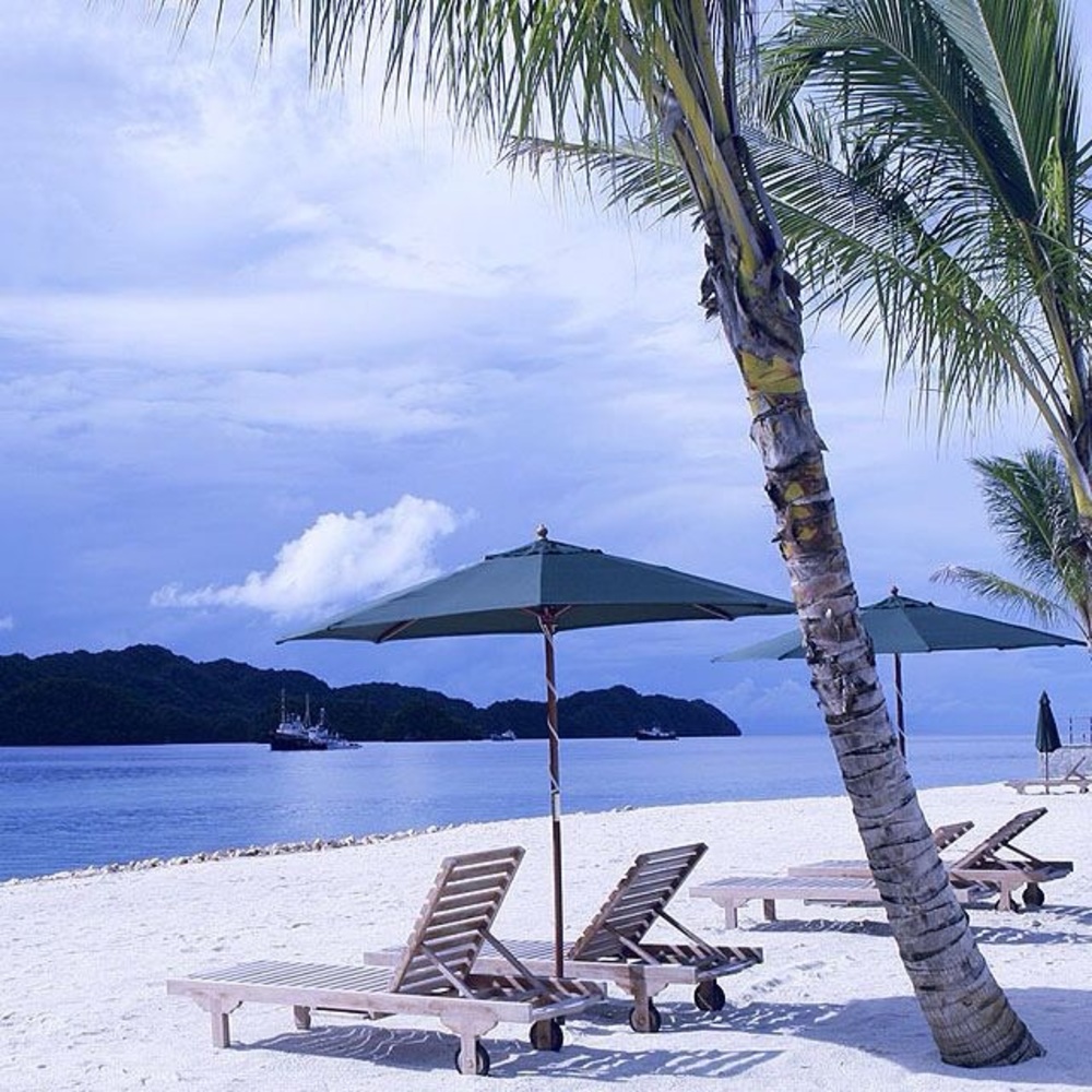 Hello!😃 and Welcome 🥃🥃🥳